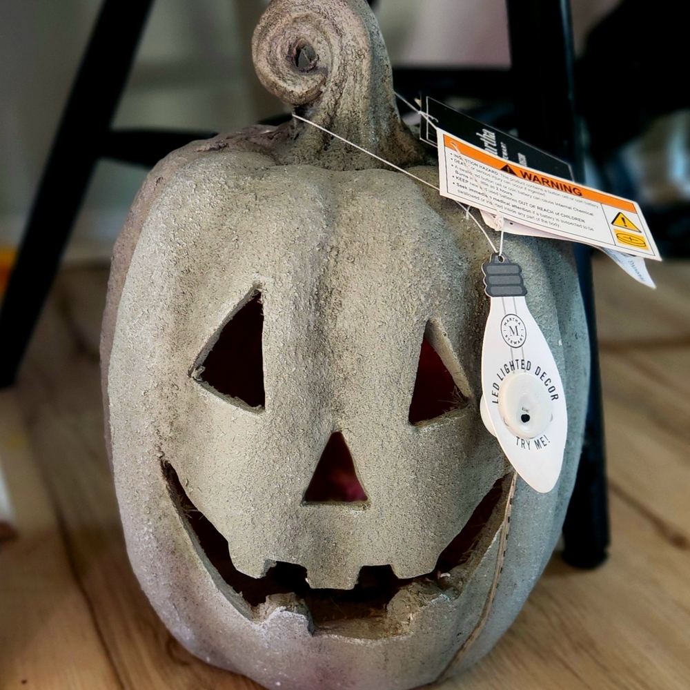 SOLD Martha Stewart Gray LED Pumpkin Decor